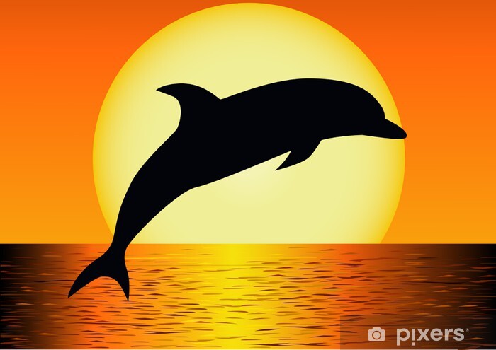 silhouette of a dolphin