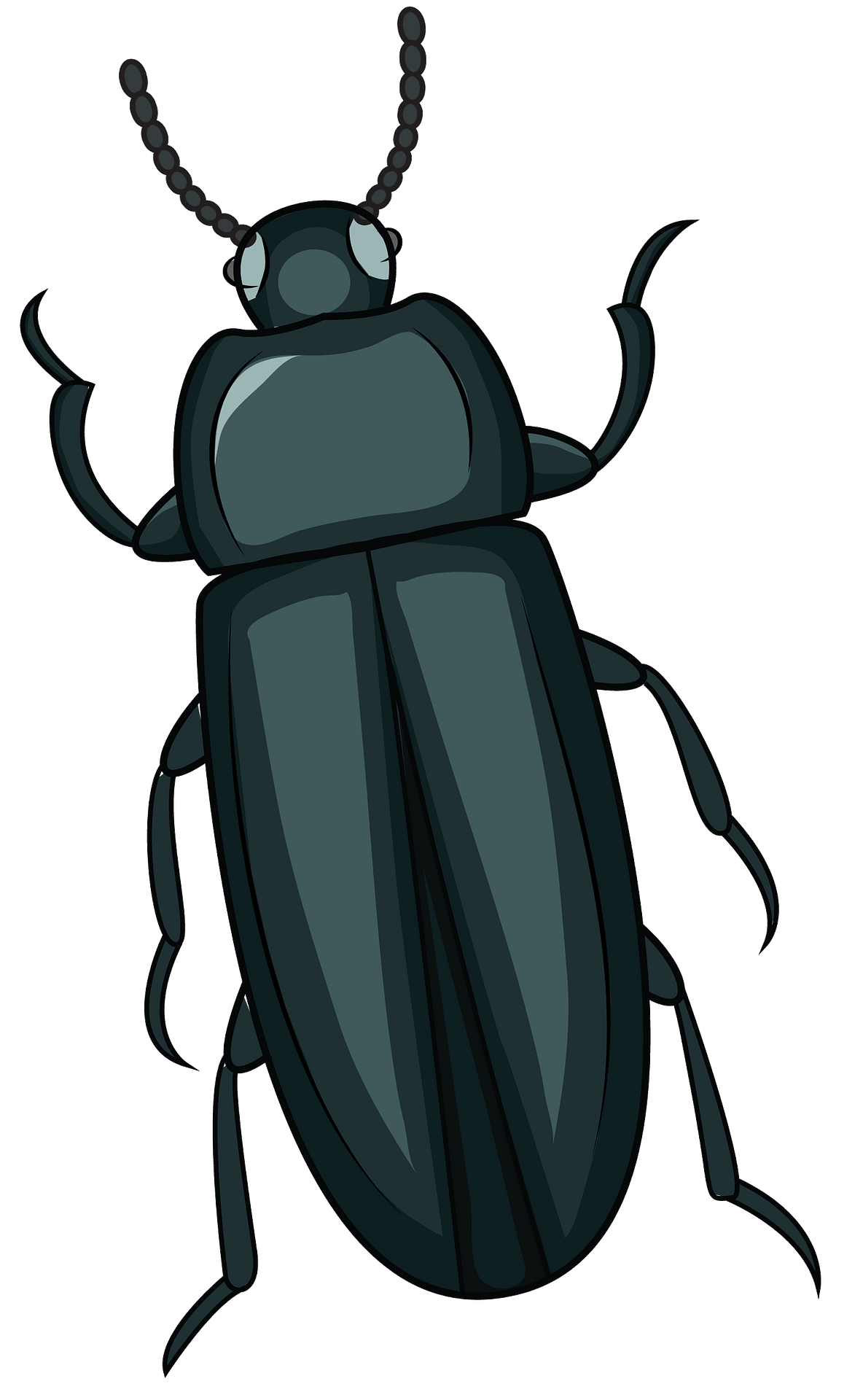 beetle clipart