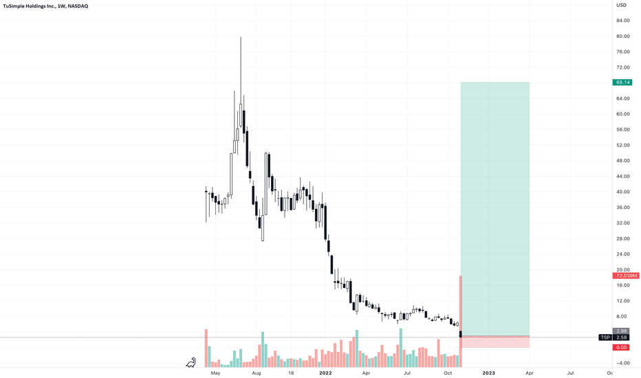 tusimple stock price today