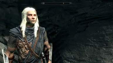 skyrim witcher race mod