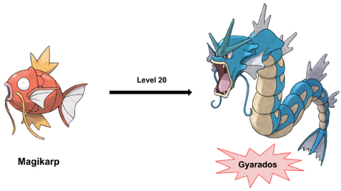 gyarados evolve