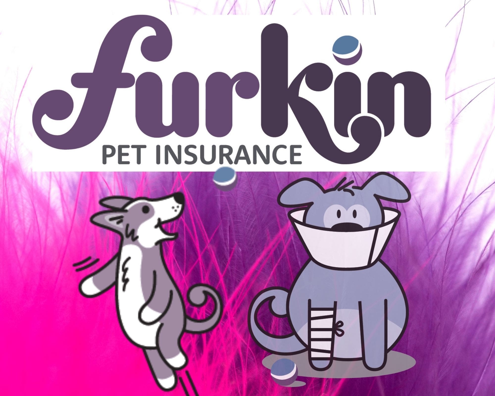 furkin pet insurance