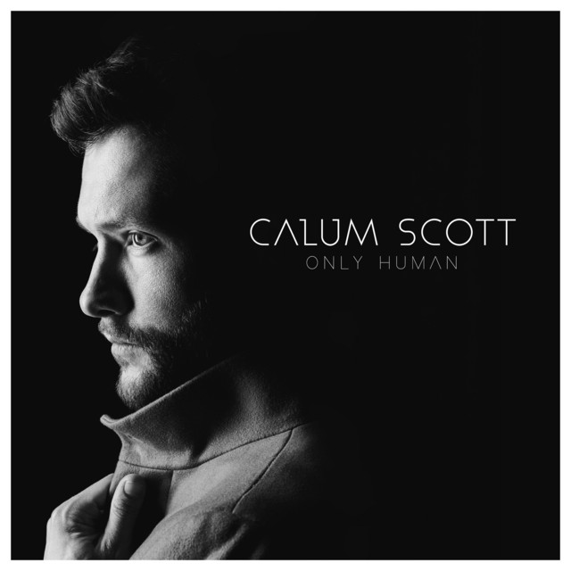 listen to calum scott you are the reason