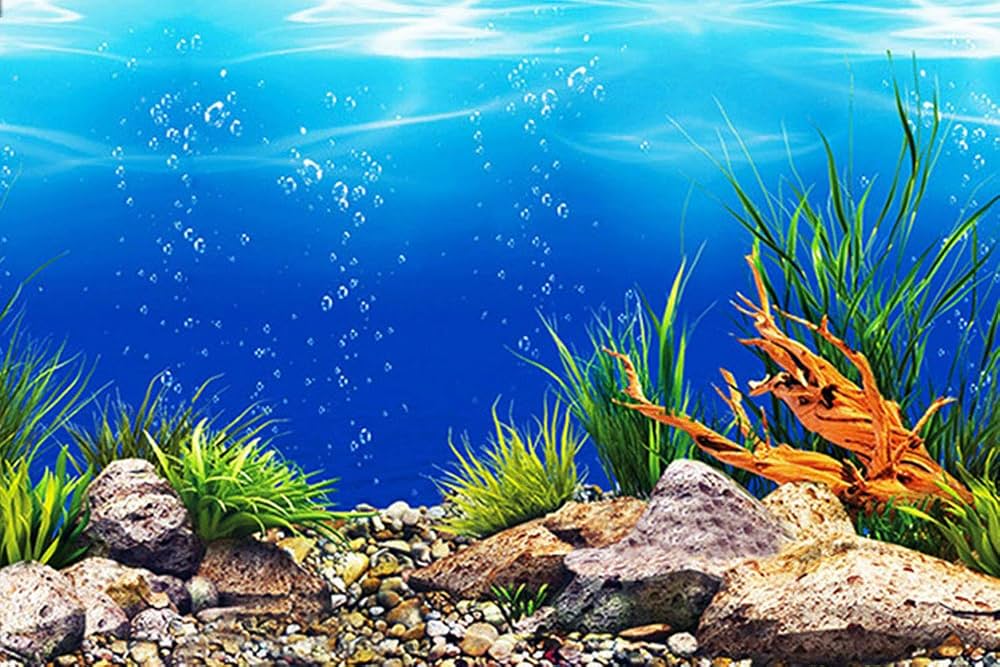 background poster for fish tank