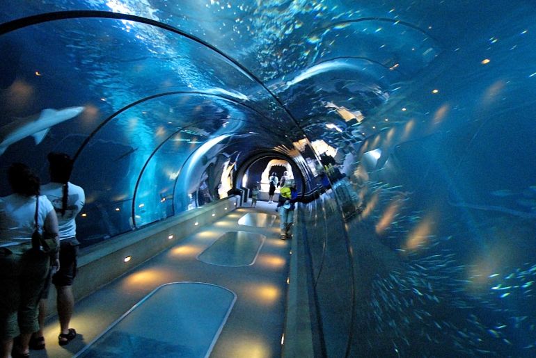 bangalore sea tunnel aquarium