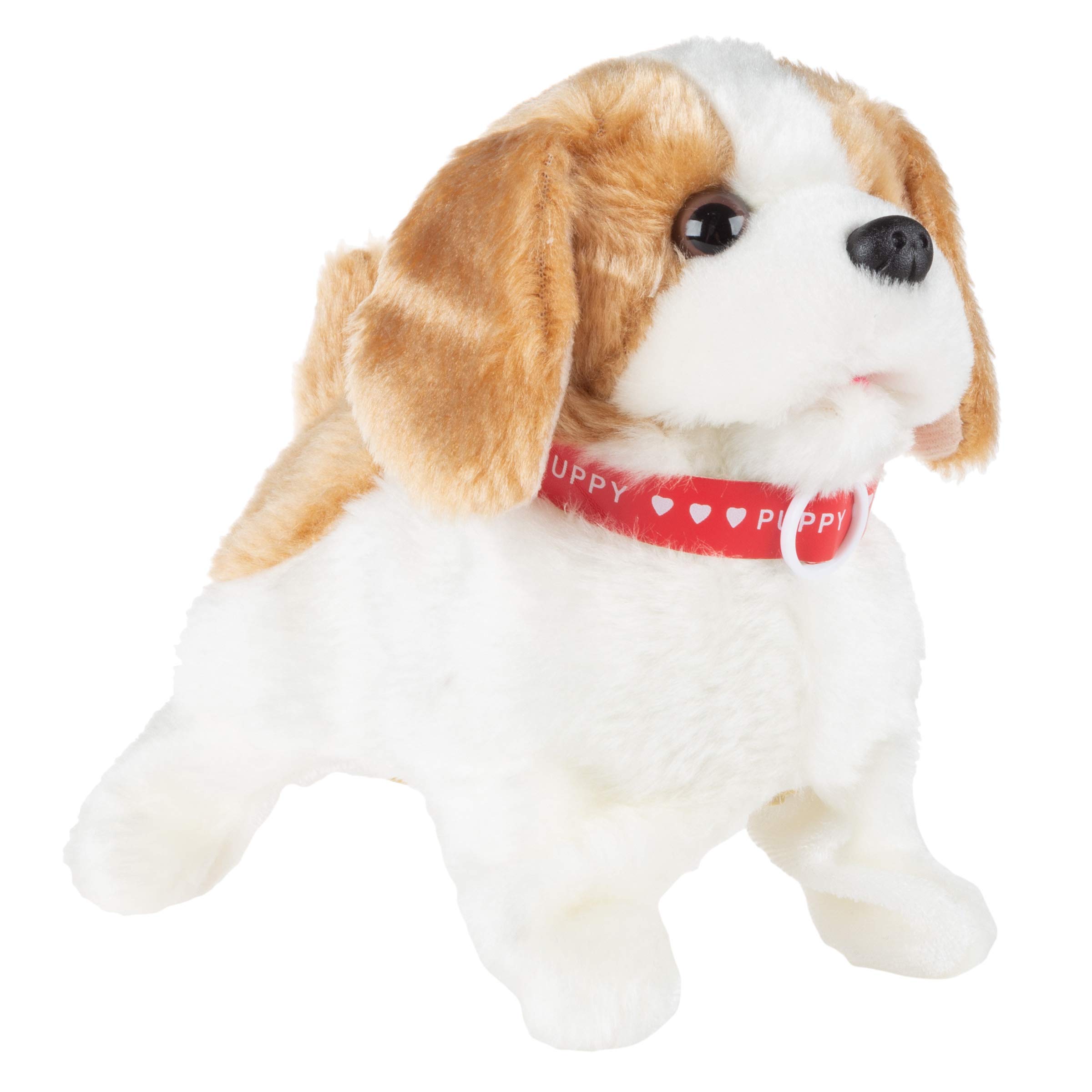 battery operated dog toy