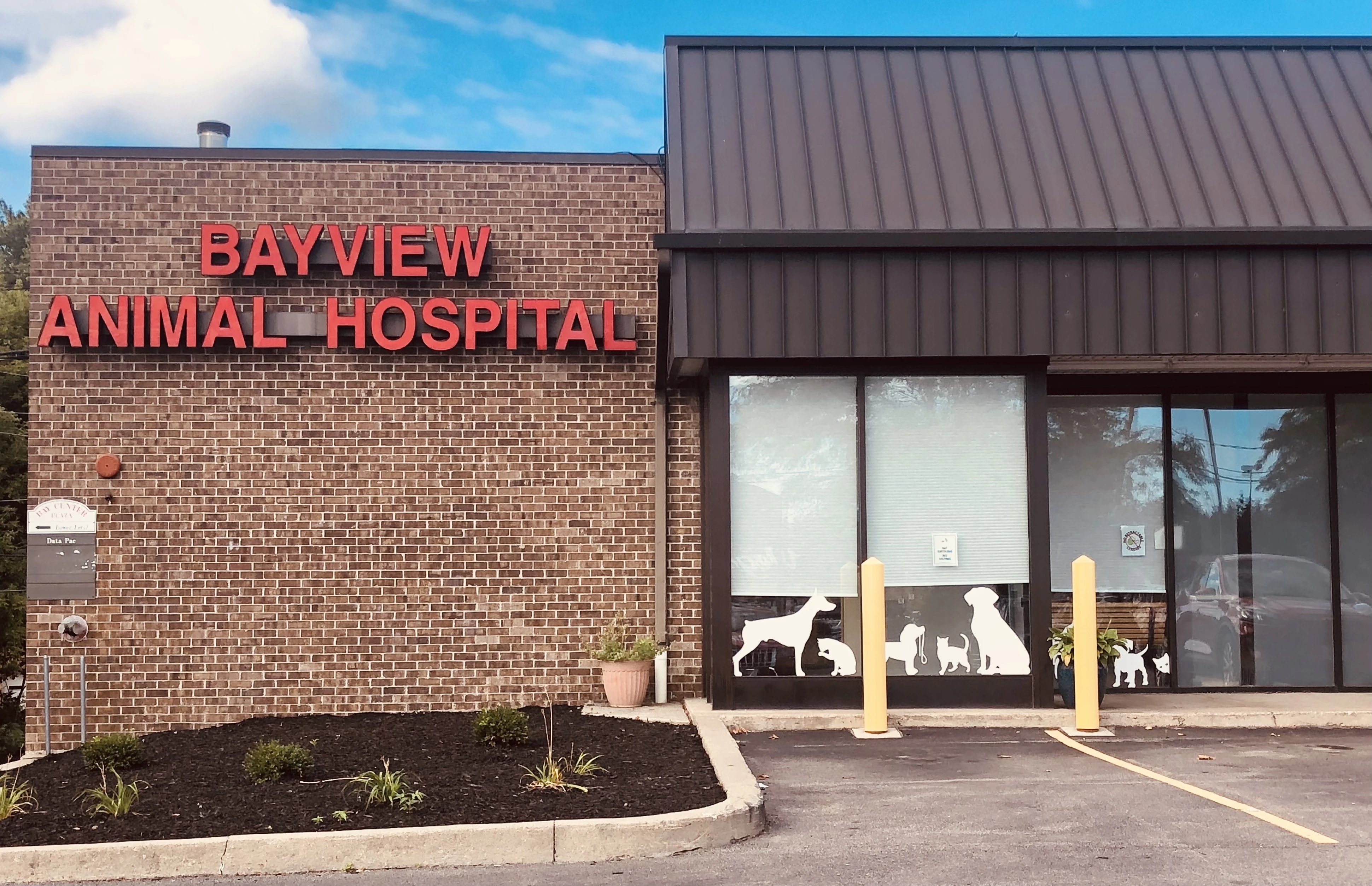 bayview animal hospital