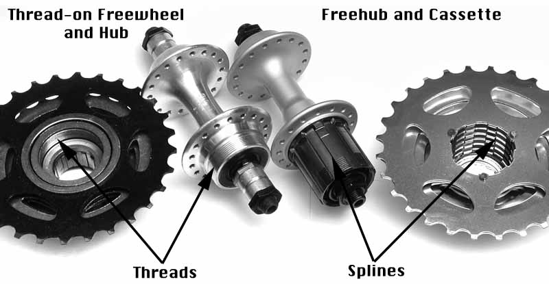 cassette vs freewheel