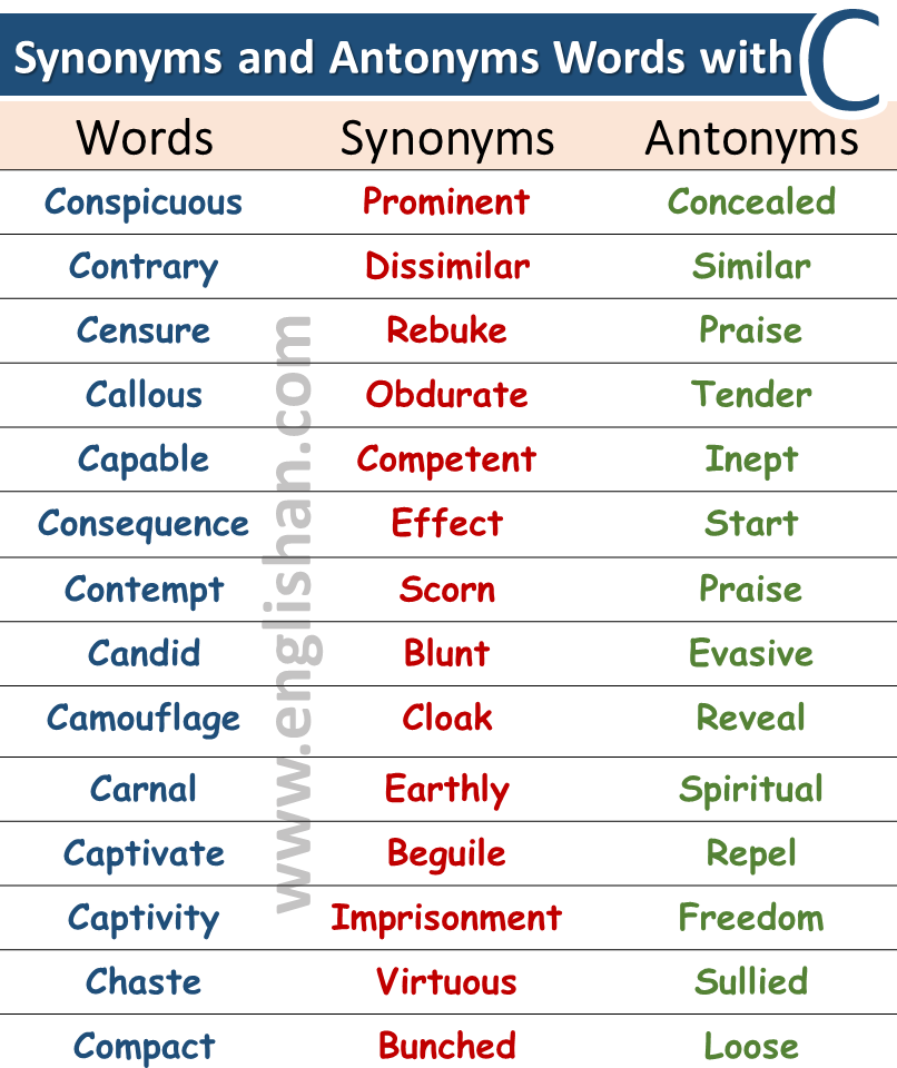 scorn synonym