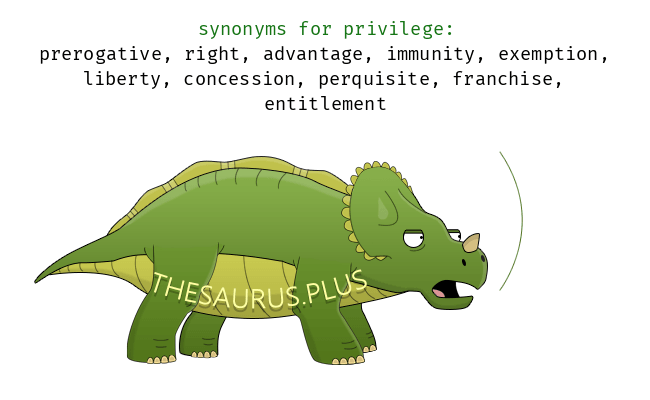 synonym to privilege