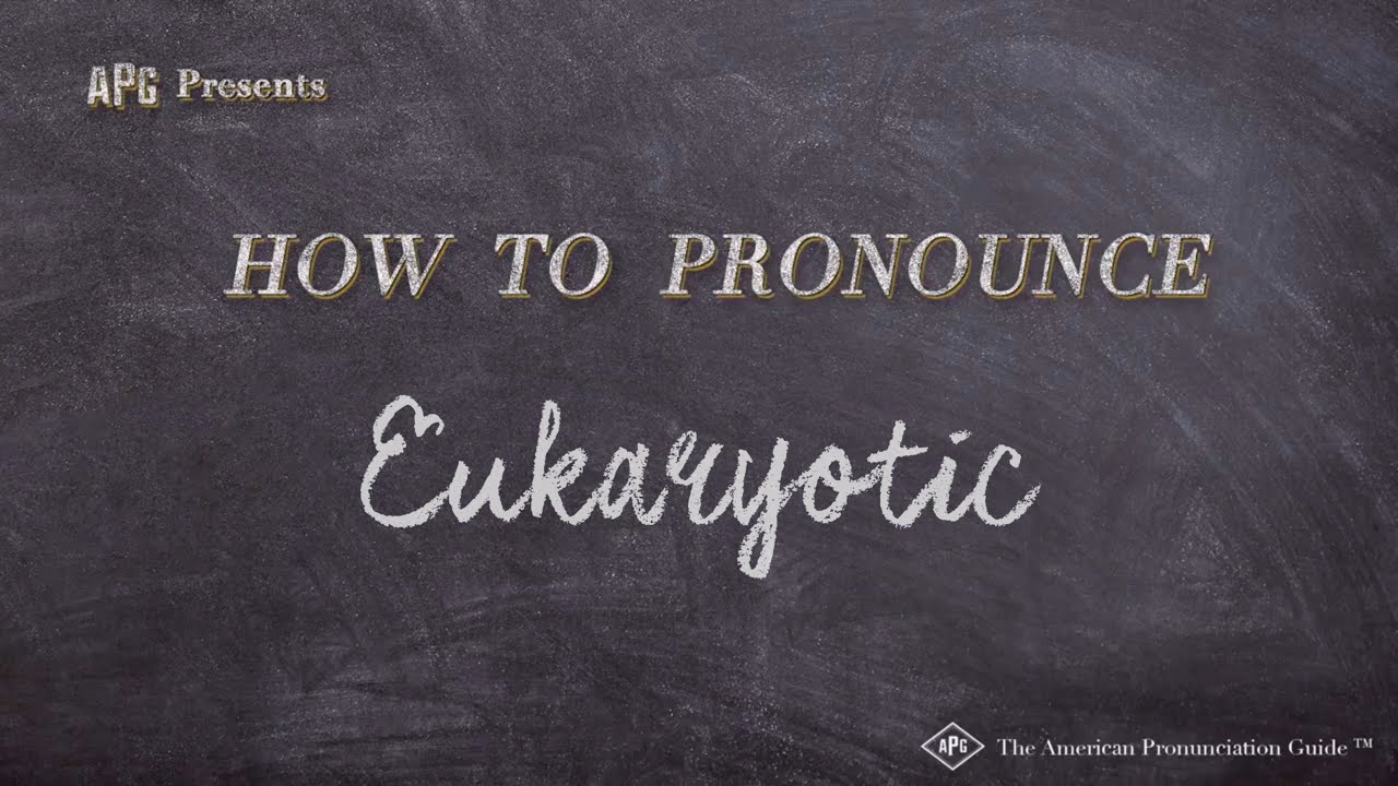 how to pronounce eukaryotic