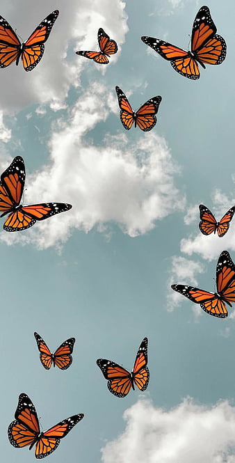 beautiful butterfly wallpaper