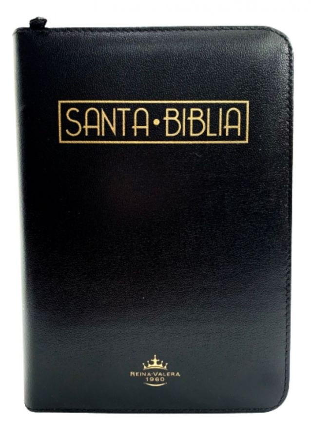 biblia reina valera 1960 version actual