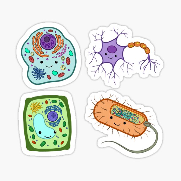 biology stickers