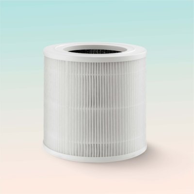 bionaire air cleaner filters