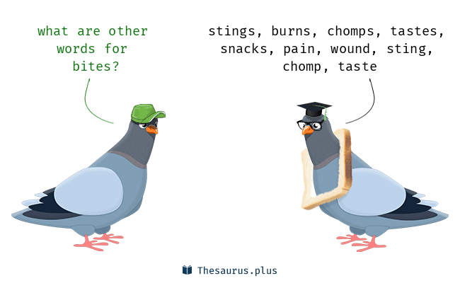 bites synonyms