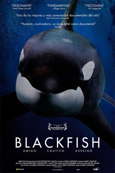 blackfish imdb