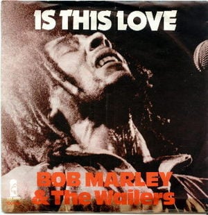 bob marley is this love mp3 download