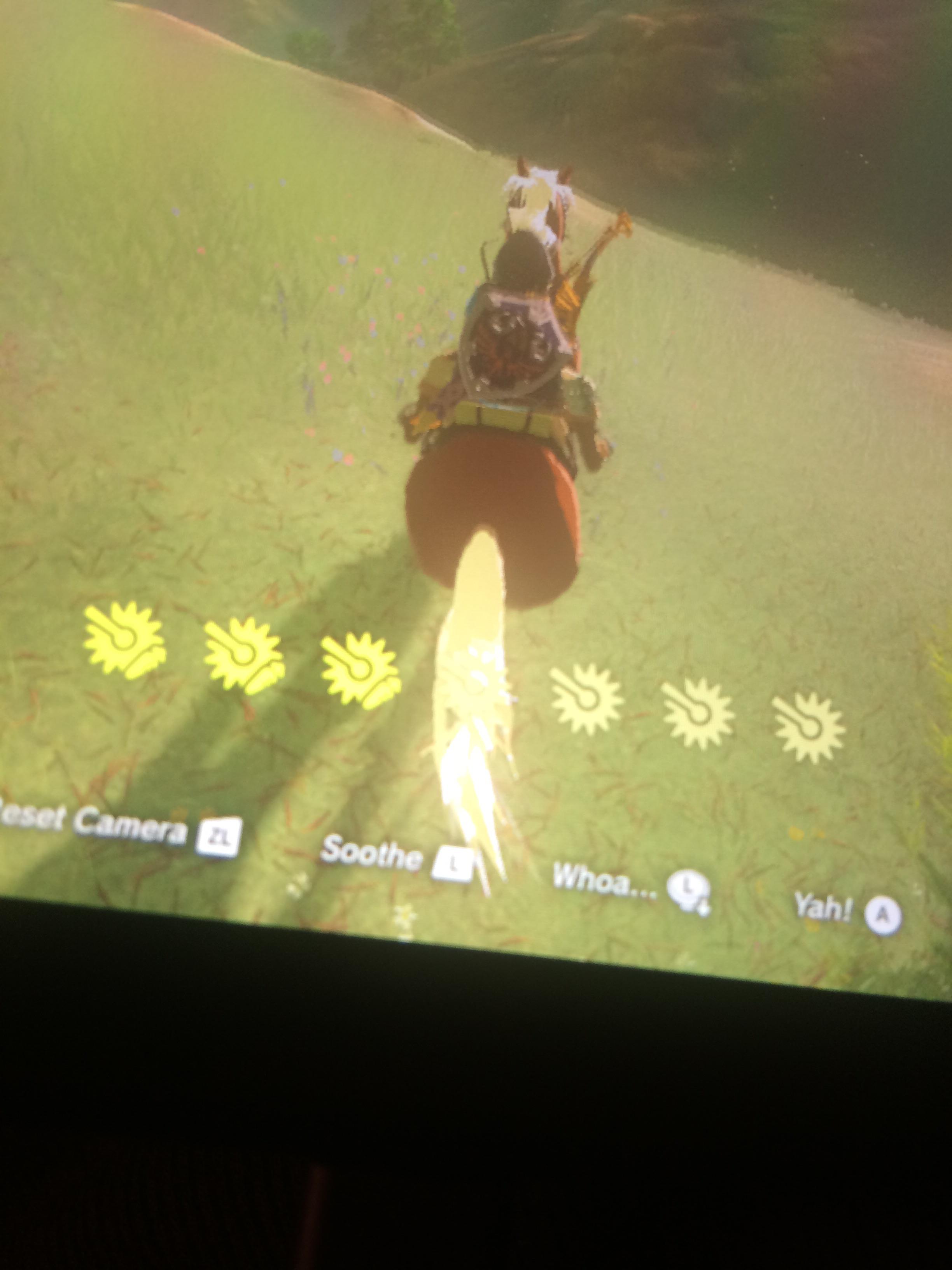 botw feed horse