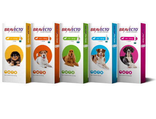 bravecto for dogs canada