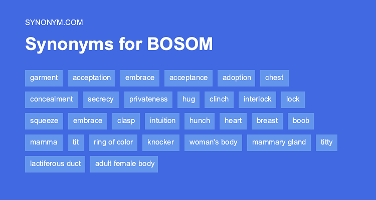 breast synonyms english