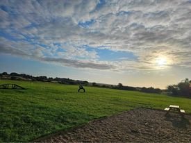 bridge meadow secure dog field