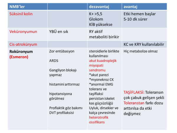 bridion nedir