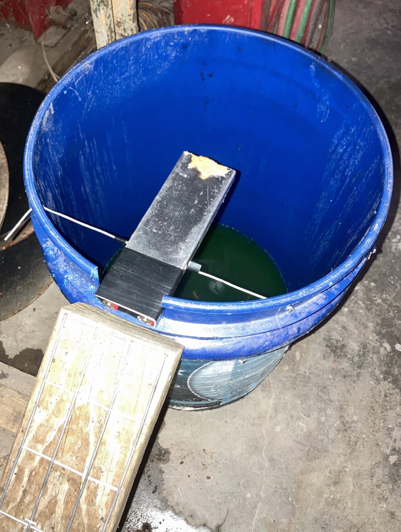 bucket mouse trap diy