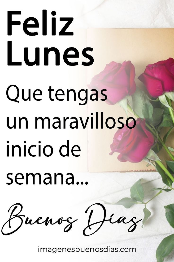 buenos días feliz lunes