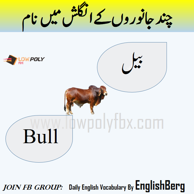 bullock meaning in urdu