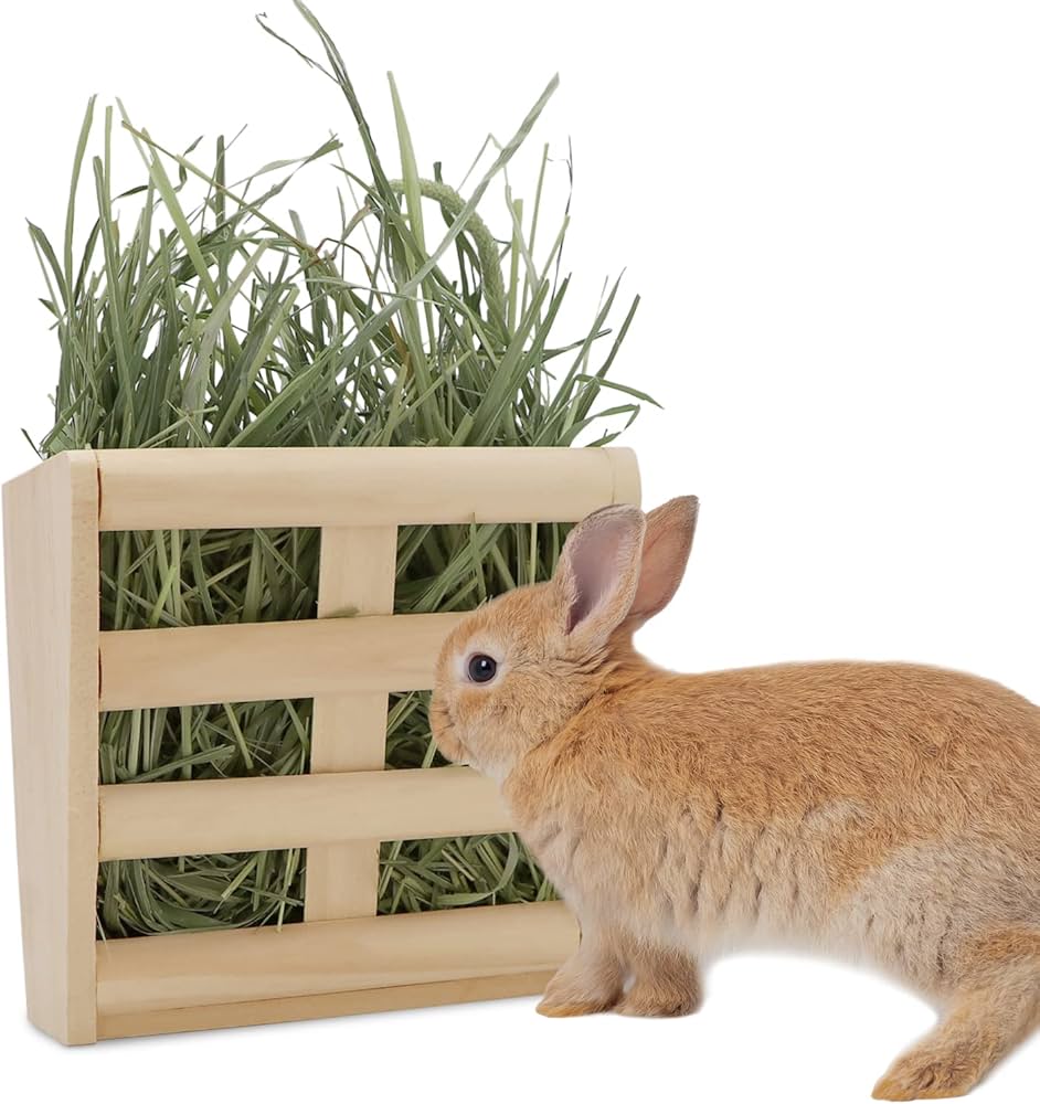 bunny hay holder