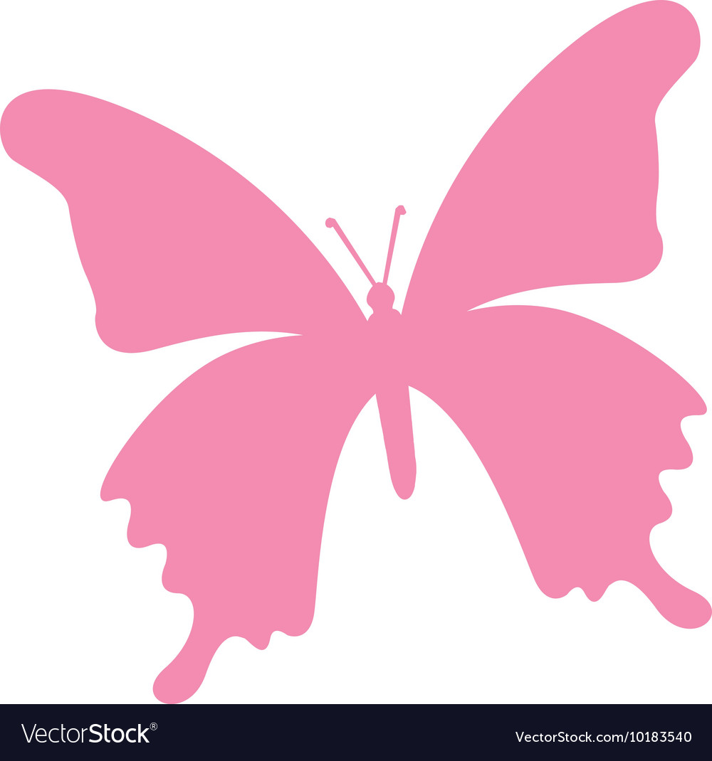 butterfly vector pink