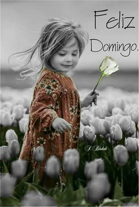 imagenes bellas de feliz domingo