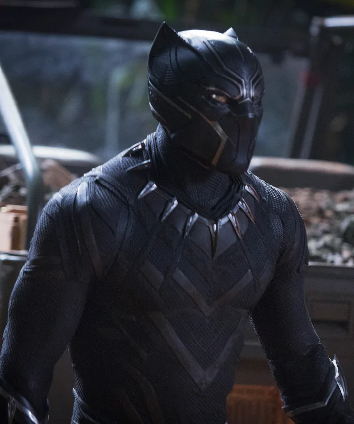 black panther halloween costume