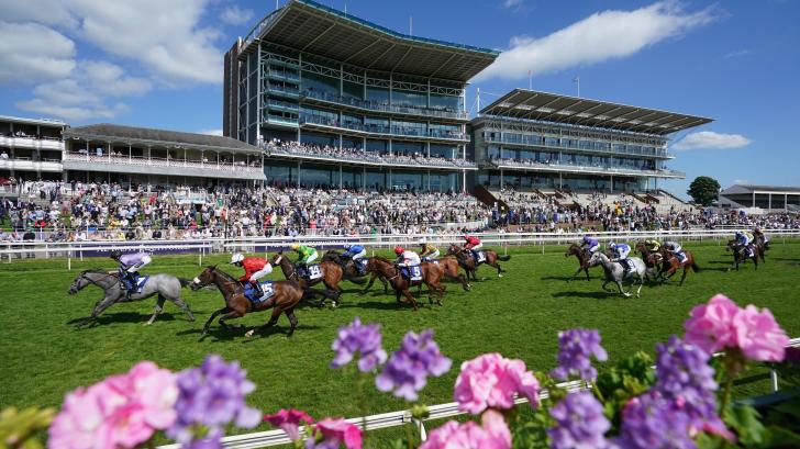 york races tips