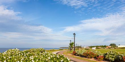 hotels in summerside pei