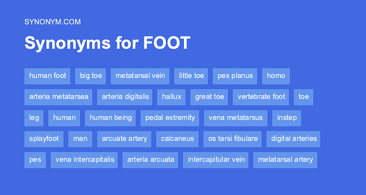 foot synonym