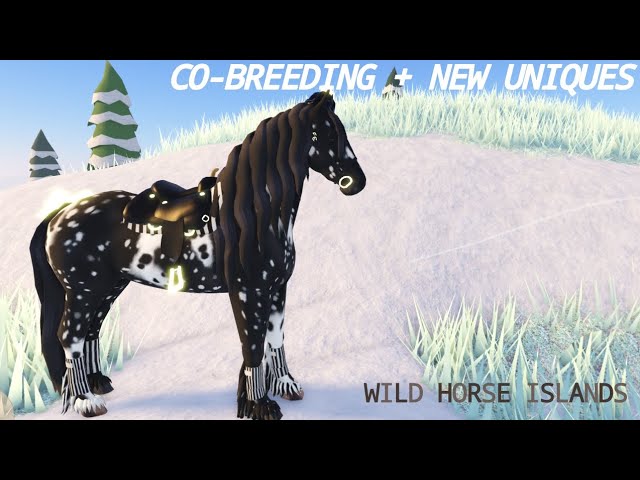 unique breeding wild horse islands