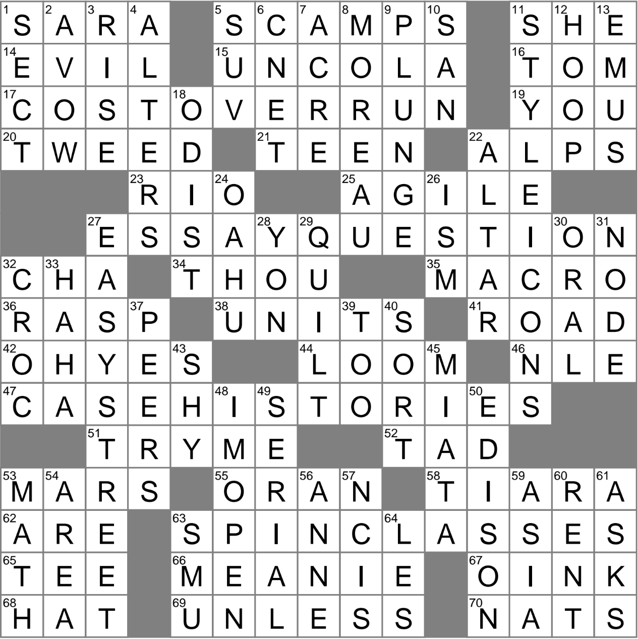 site crossword clue