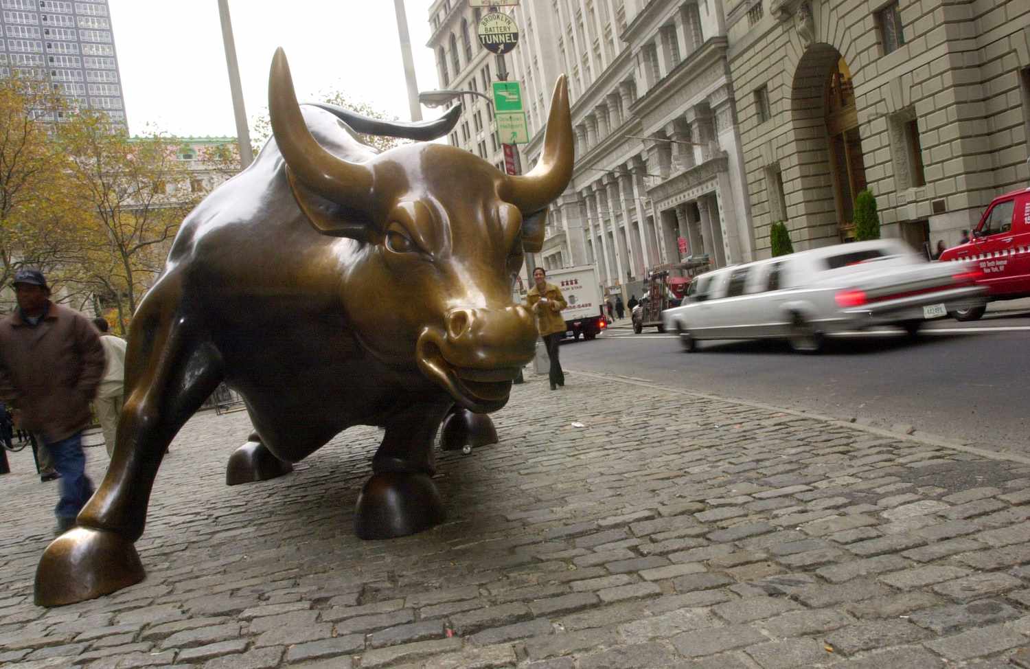 charging bull images