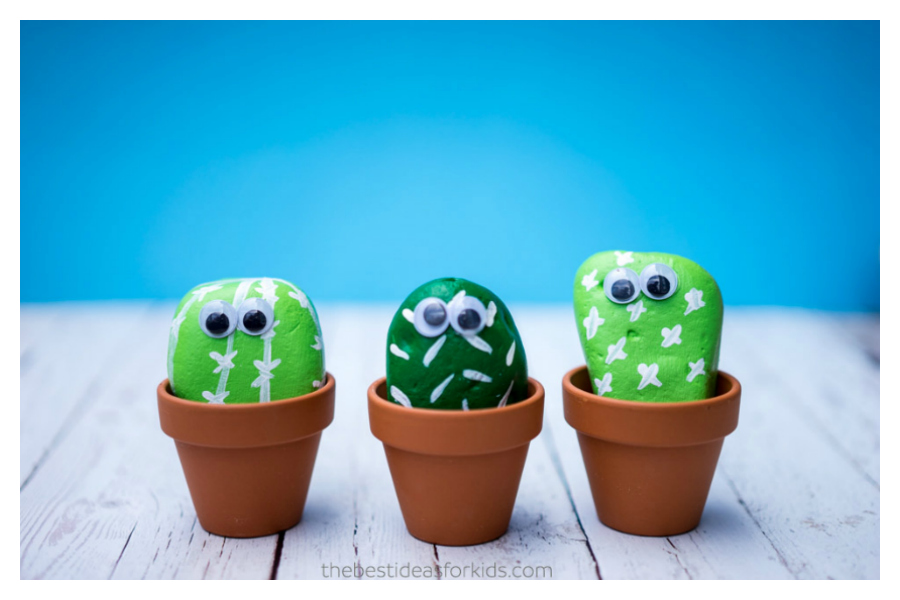 cactus diy ideas