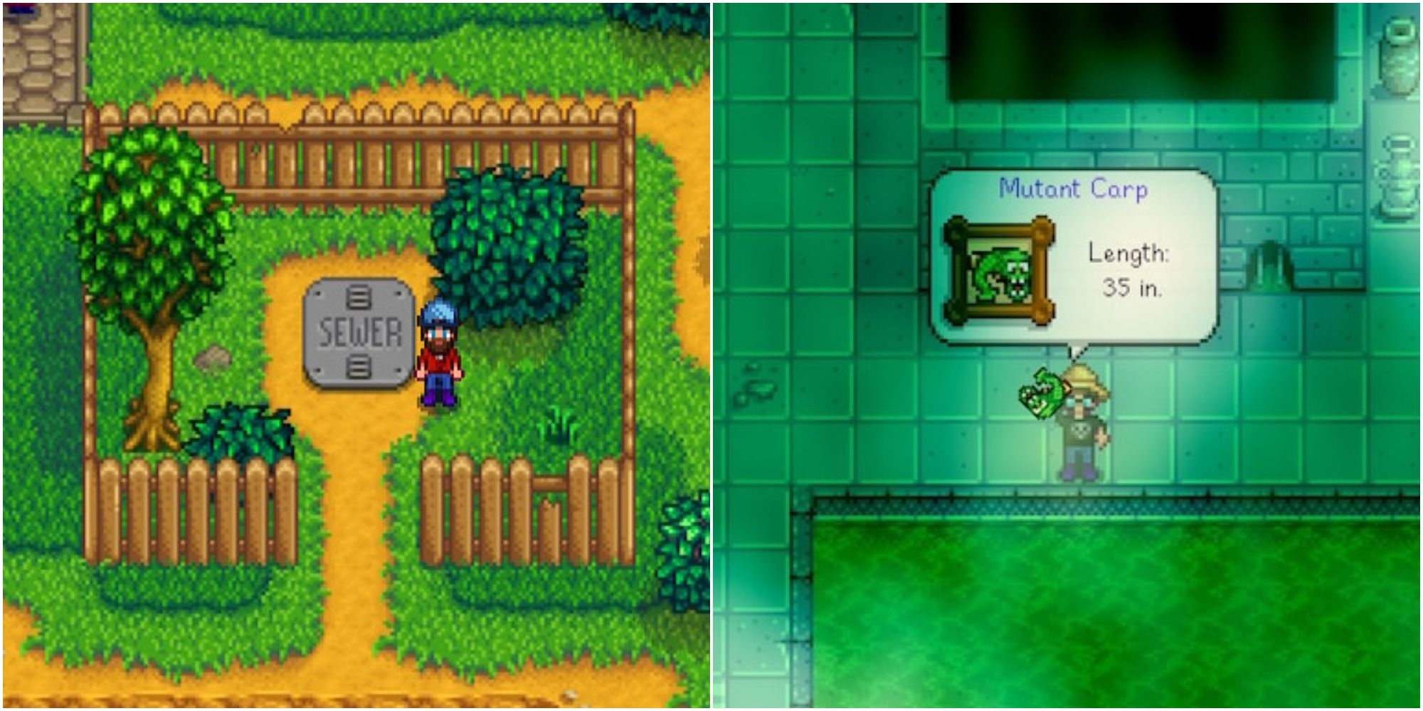 stardew valley force field