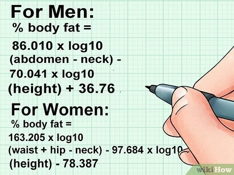 calculate body fat percentage navy