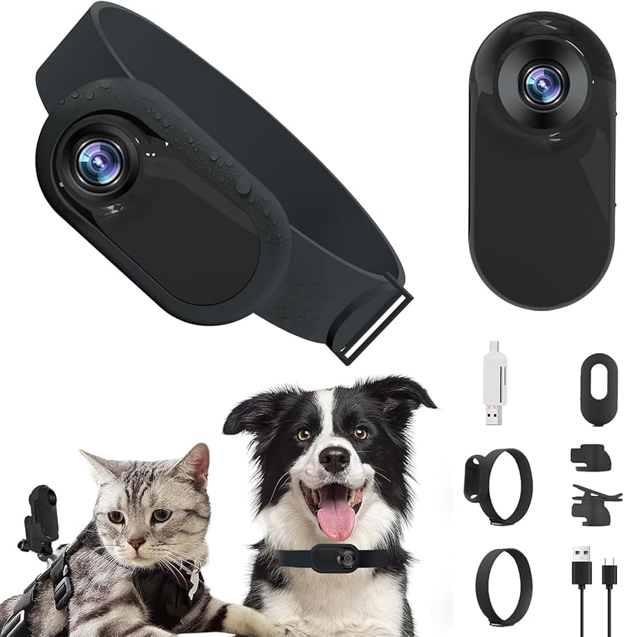 camara espia para perros