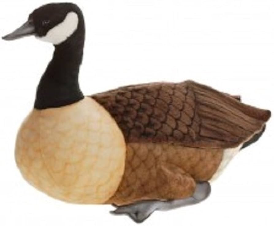 canada goose amazon