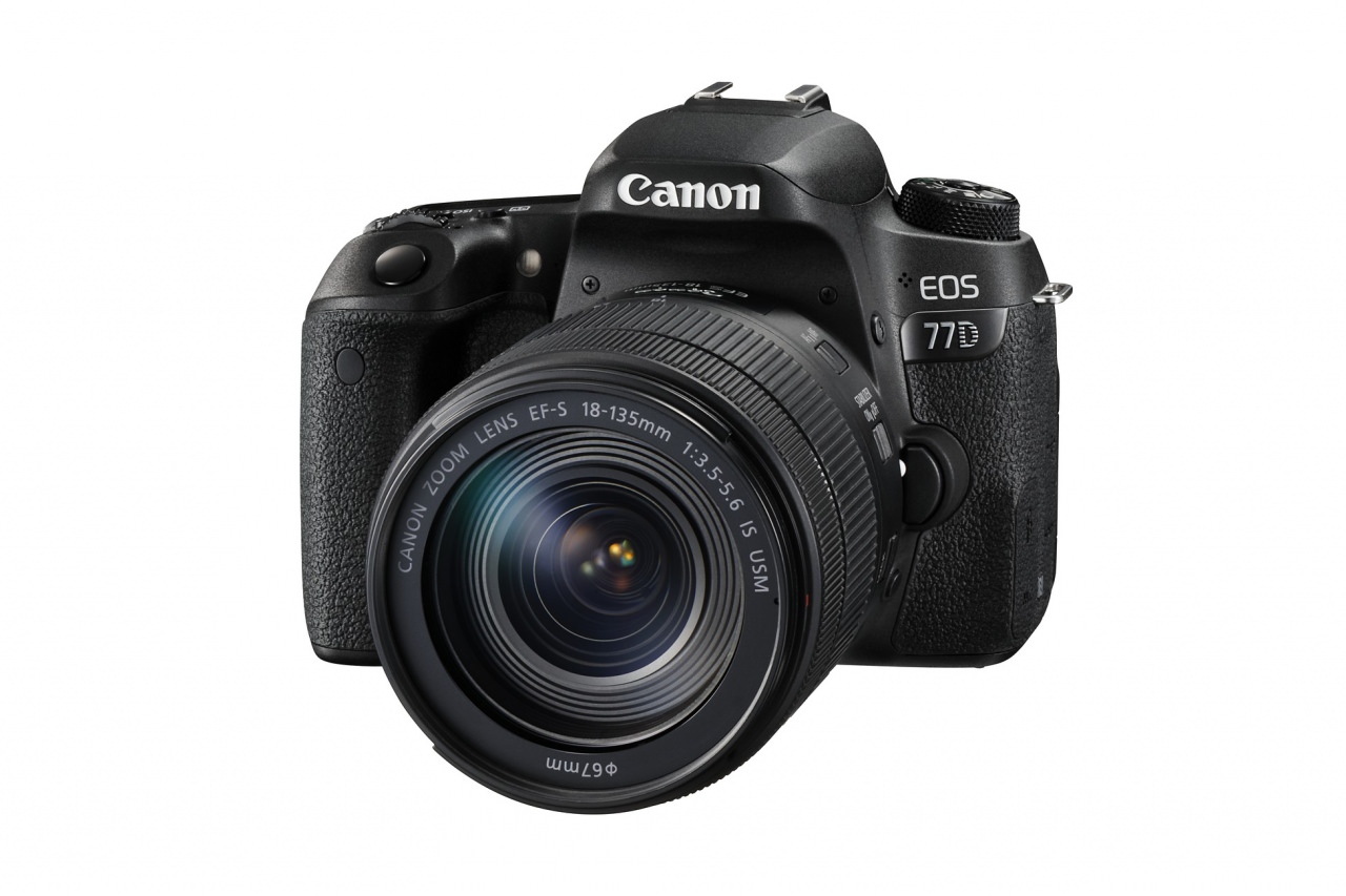 canon 77d image stabilization