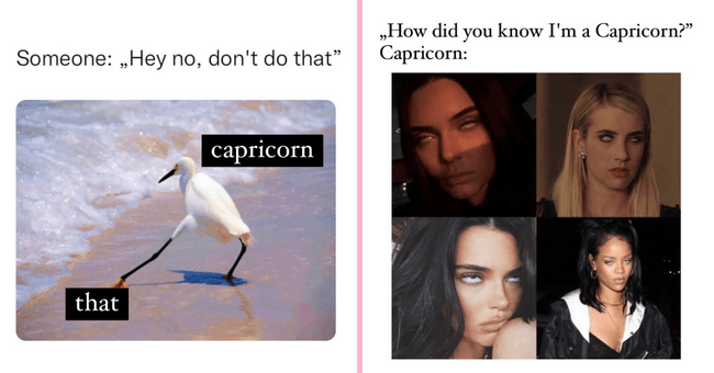 capricorn memes