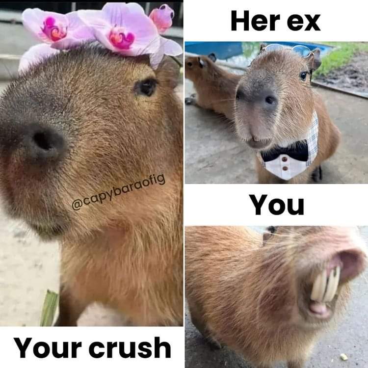 capybara slay