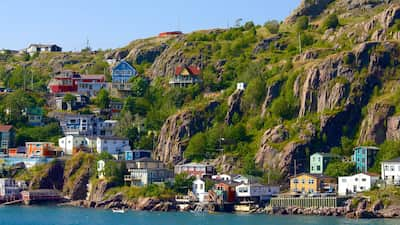 car rental st johns newfoundland