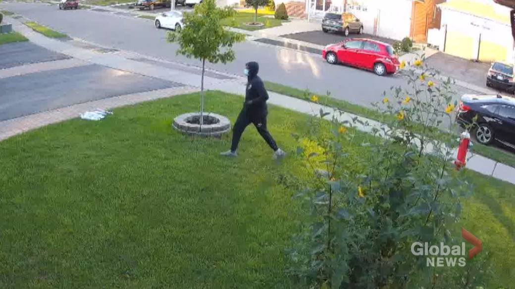 carjacking in brampton